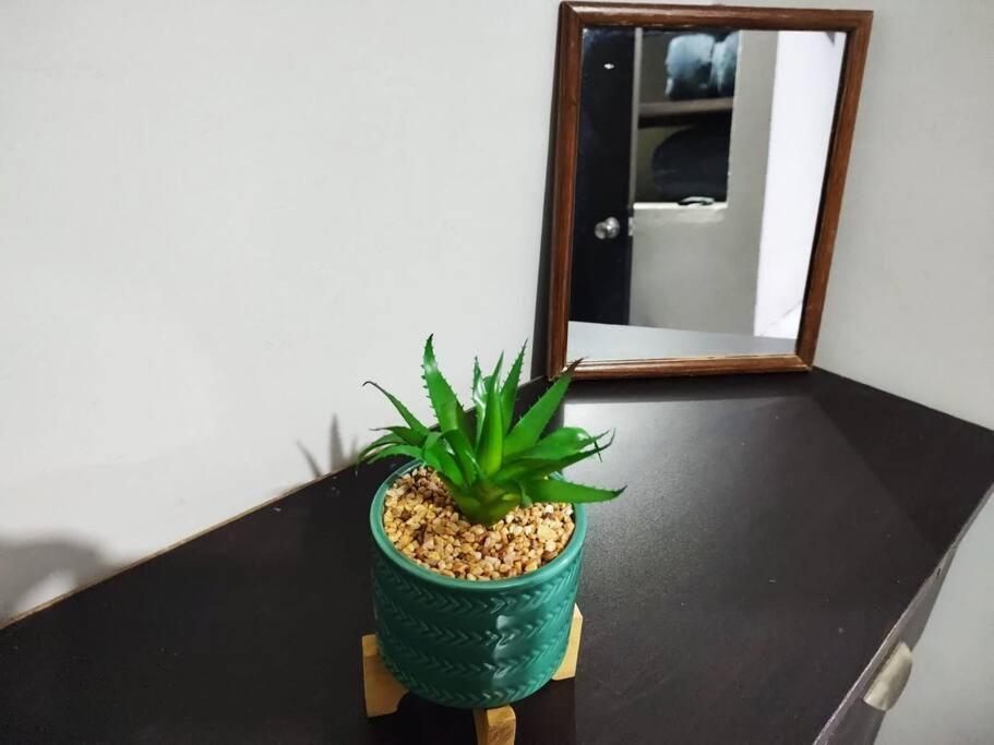 Hermoso Departamento Centrico Con Servicios Apartment Tequila Exterior photo
